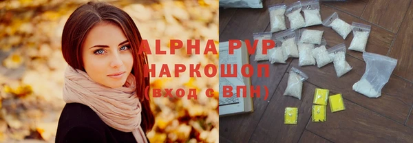 амф Новозыбков