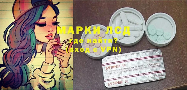 амф Новозыбков