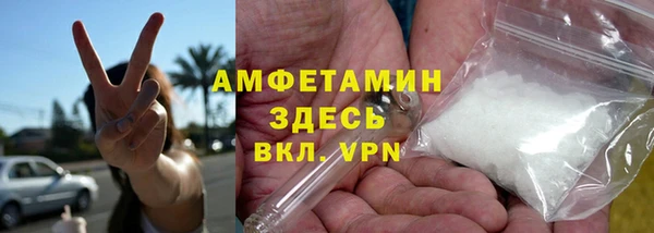 амф Новозыбков