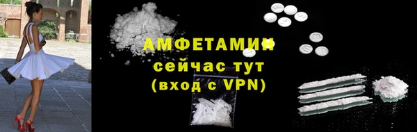 амф Новозыбков
