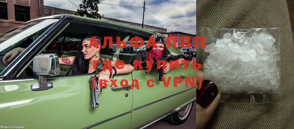 амф Новозыбков