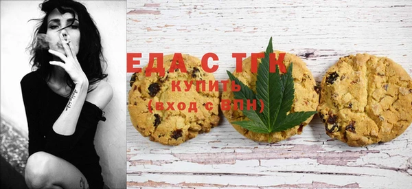 амф Новозыбков