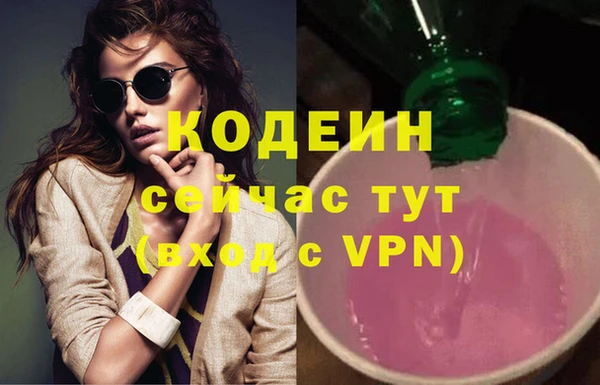 амф Новозыбков
