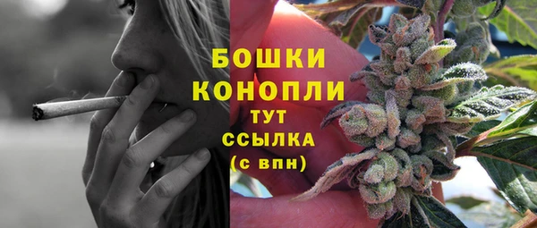 каннабис Новодвинск