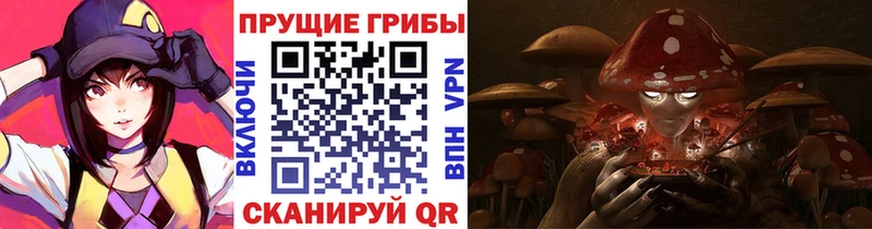 Псилоцибиновые грибы мухоморы  блэк спрут зеркало  Кохма  наркотики 