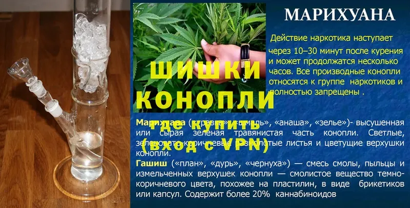 Бошки марихуана Bruce Banner  блэк спрут как зайти  Кохма 