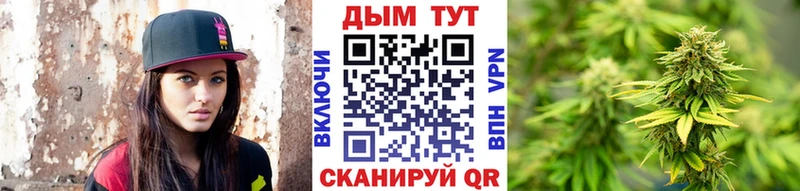 Конопля VHQ  Кохма 